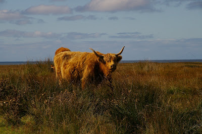 Day 22 – Islay 2